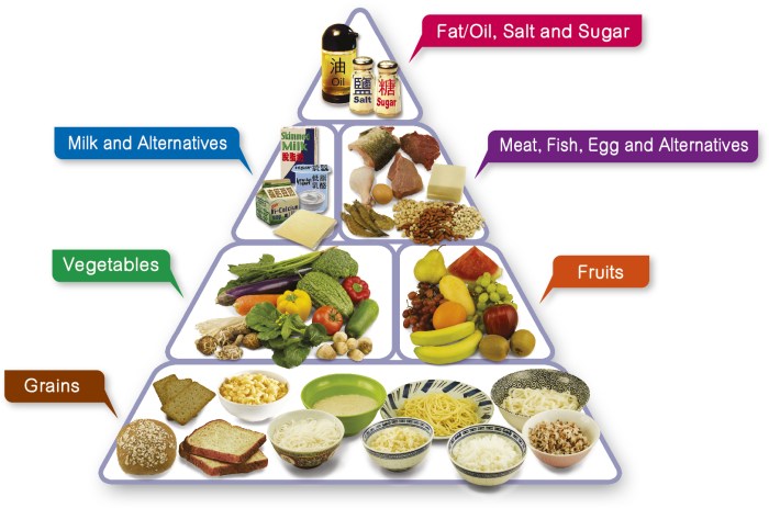 Welche ernährung ist gesund