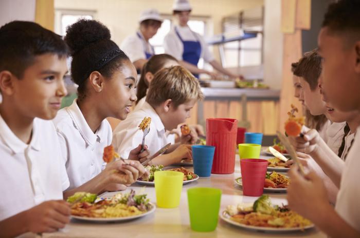 Geschichte gesunde ernährung grundschule